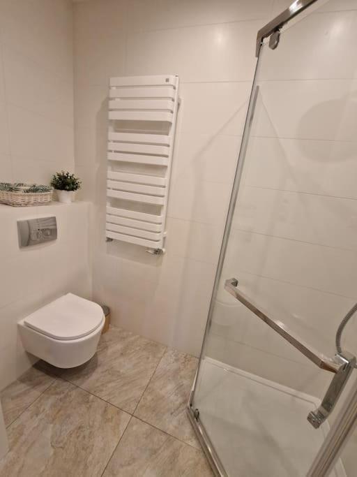 Apartment Dmowskiego *